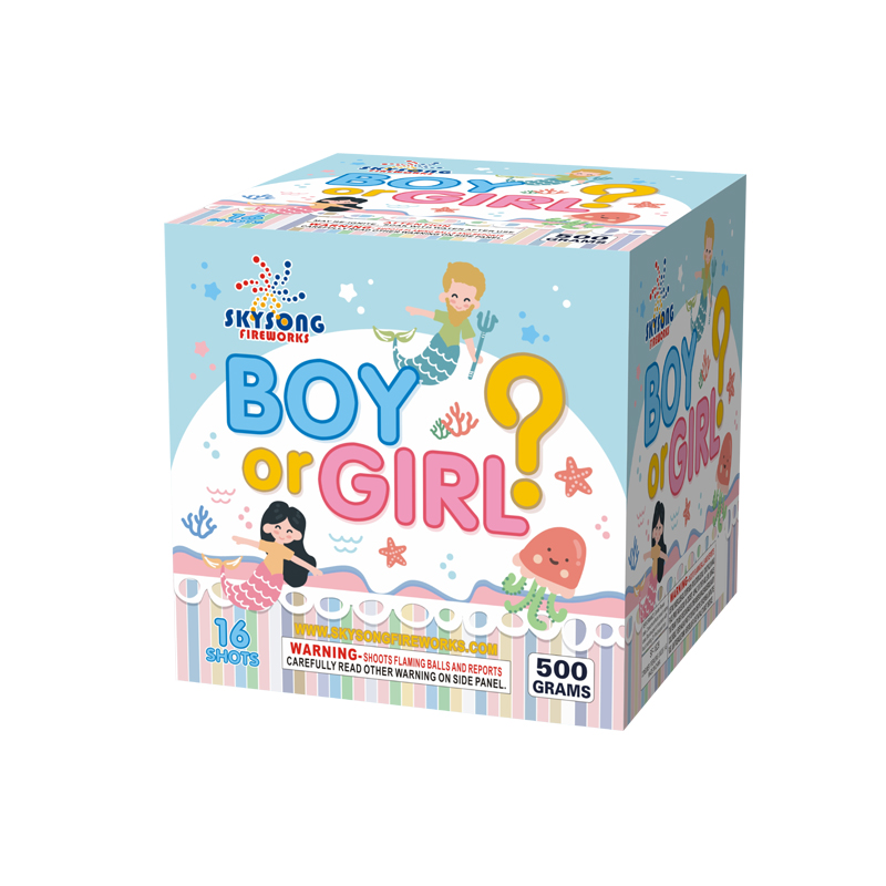 Boy or Girl 16Shots Boy or Girl 16Shots