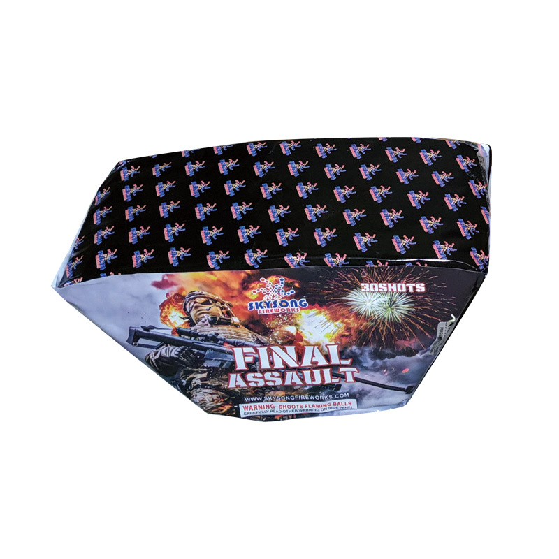 Final Assault 30Shots Final Assault 30Shots