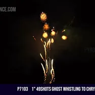 1" 49Shots Ghost whistling to chrysanthemum