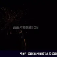 Golden Spinning tail to Golden Palm 100Shots