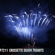 Crossette Silver 70Shots Z Cake