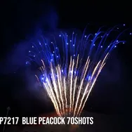 Blue Peacock 70Shots