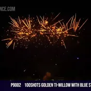 100Shots Golden Ti-Willow with blue stars silver fish