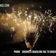 300Shots Crackling Tail to Crackling Ti-Palm Tree