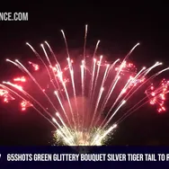 65Shots Green glittery silver tiger tail to red and blue stars
