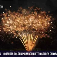 100Shots Golden palm bouquet to Golden Chrysanthemum