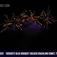 100Shots Blue Bouquet Golden Crackling Comet, Time Rain Palm Tree