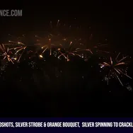 260Shots, Silver Strobe & Orange Bouquet,               Silver Spinning to Crackling, Golden Palm Tree