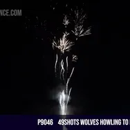 49shots wolves howling to brocade crown