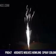49shots wolves howling  spray colorful Dahlia chry