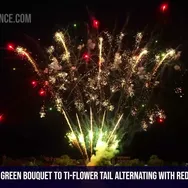 100Shots Green Bouquet to Ti-flower tail alternating with red and green silk