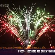 100Shots Red green silver palm crossette