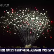 100Shots Silver spinning to red dahlia white strobe with Red green blue bouquet