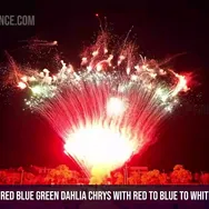 100Shots Red blue green dahlia chrys with red to blue to white strobe bouquet