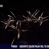 100Shots Silver Palm tail to Silver palm