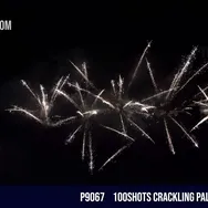100Shots Crackling Palm Tree