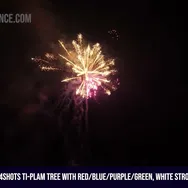 64Shots Ti-Plam Tree with Red/Blue/Purple/Green, White Strobe Assorted Effects