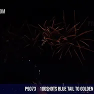 100Shots Blue tail to Golden Palm Tree