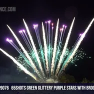 65Shots Green glittery purple stars with brocade crown tail
