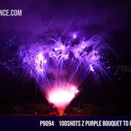 100Shots Z purple bouquet to purple waterfall
