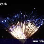 300Shots Blue Peacock