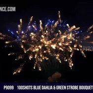 100Shots blue dahlia & green strobe bouquet to golden spider