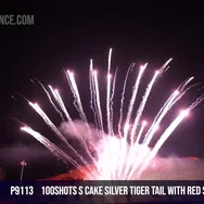 100Shots Spring Ballet