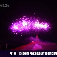 100Shots Pink bouquet to Pink Dahlia/25Seconds