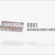 Crackling Ground Bloom Flower