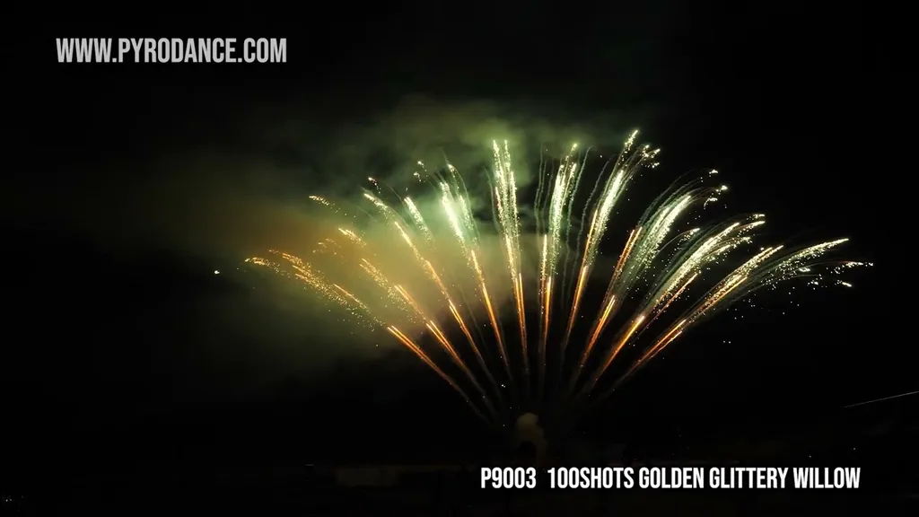 100Shots Golden Glittery Willow