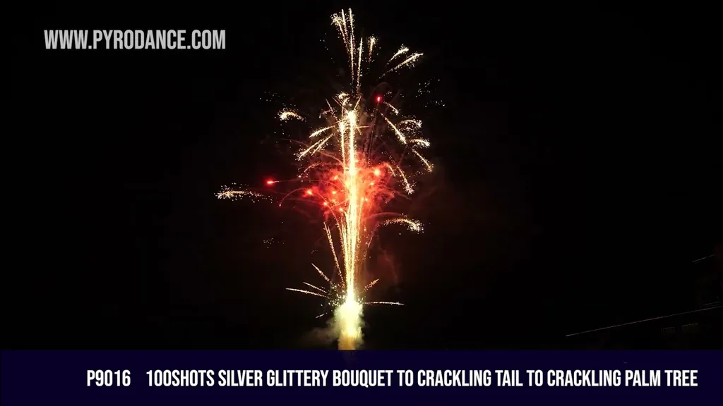 100Shots Silver Glittery Bouquet to Crackling Palm Tree — Professional Cake