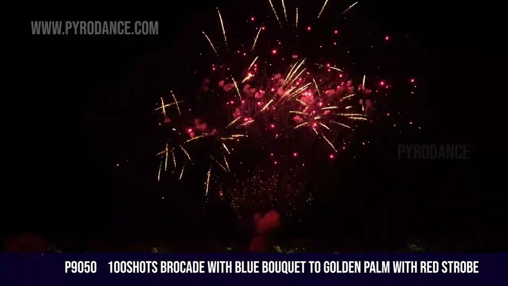 100Shots Brocade with blue bouquet to golden palm with red strobe — Professional Cake