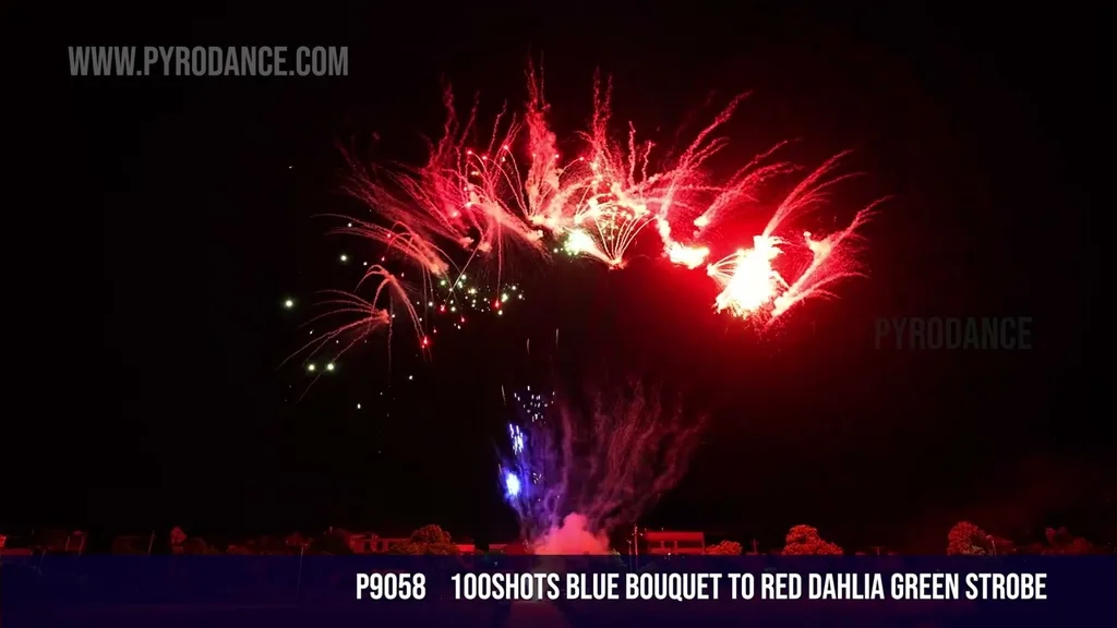 100Shots Blue bouquet to red dahlia green strobe — Professional Cake