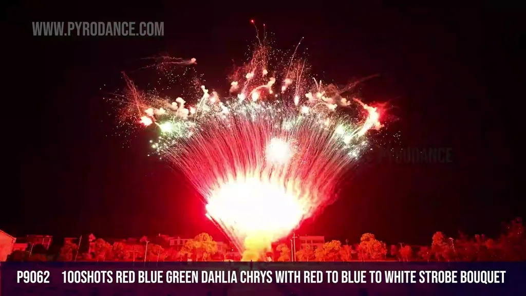 100Shots Red blue green dahlia chrys with red to blue to white strobe bouquet — Professional Cake