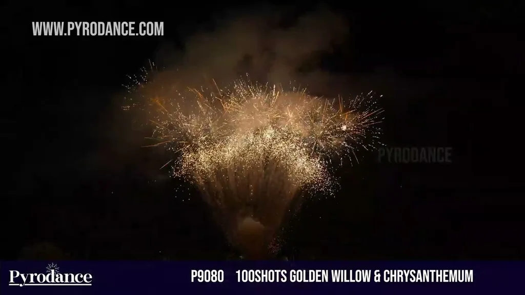 100Shots Golden willow & Chrysanthemum — Professional Cake