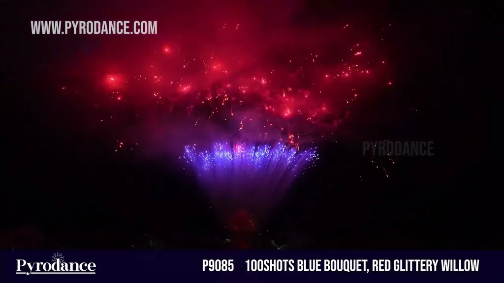 100Shots Blue bouquet, Red glittery willow — Professional Cake