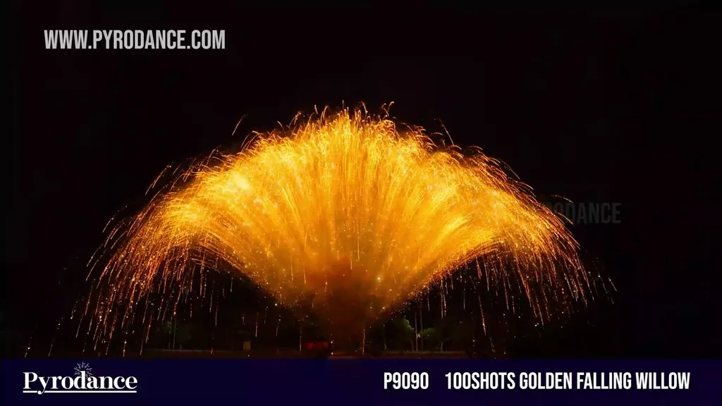 100Shots Golden falling willow — Professional Cake
