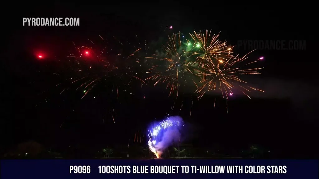 100Shots Blue bouquet to Ti-willow with color stars — Professional Cake