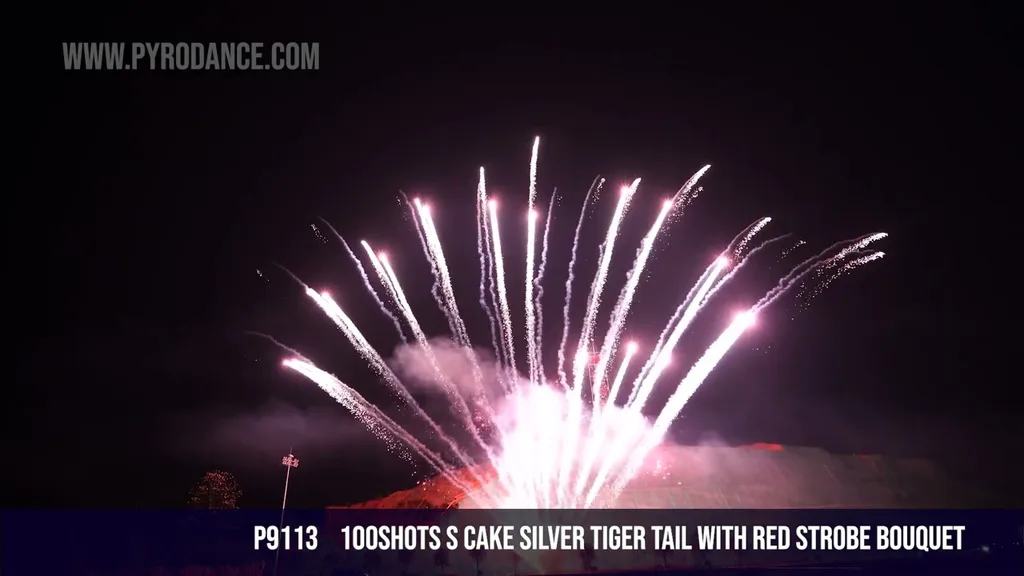 100Shots S Cake Silver tiger tail with red strobe bouquet — Professional Cake