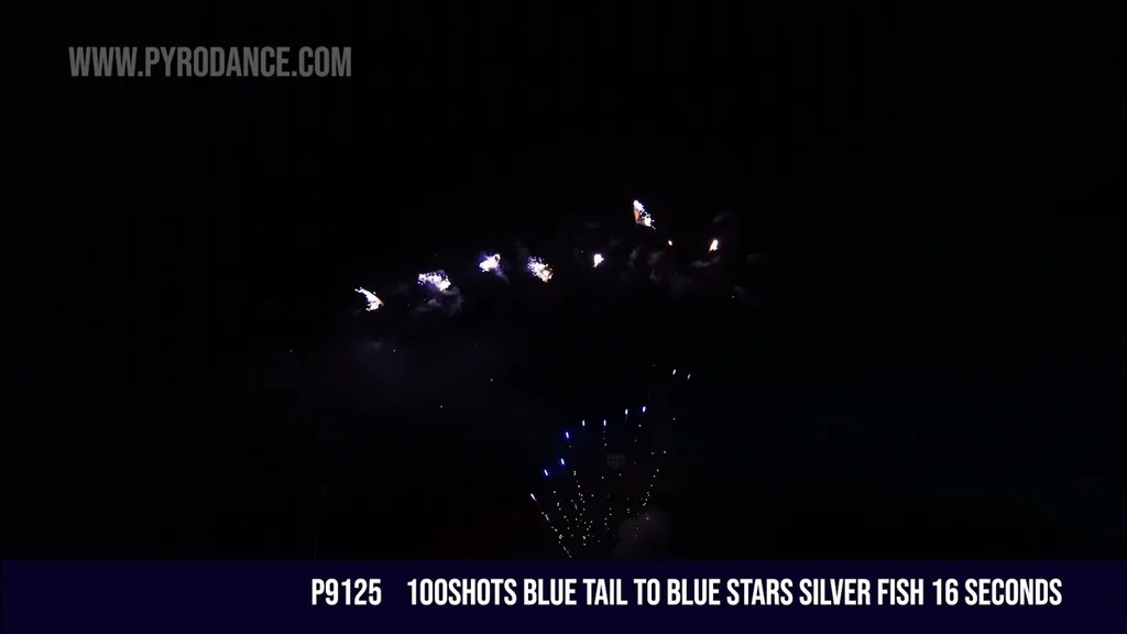 100Shots Fan Cake Blue stars silver fish /16Seconds — Professional Cake