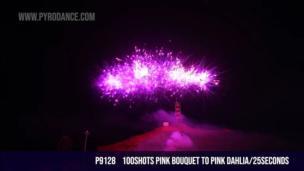 100Shots Pink bouquet to Pink Dahlia/25Seconds — Professional Cake
